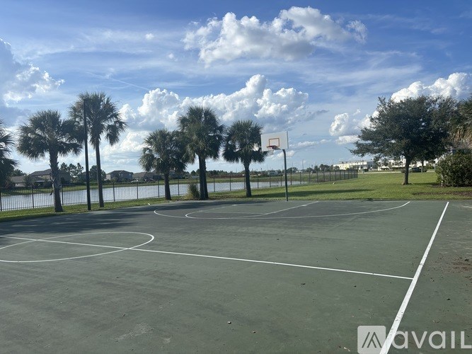A basketball court surrounded by palm trees under a blue sky with clouds.