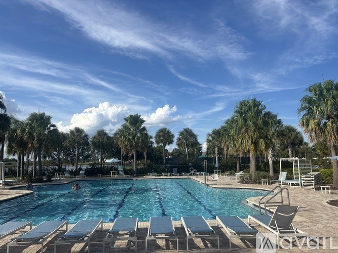 A swimming pool surrounded by palm trees and lounge chairs.