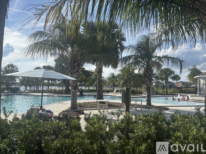 A pool surrounded by palm trees and a white umbrella.