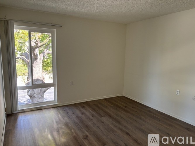 A room with wooden flooring and a sliding glass door leading to a tree outside.