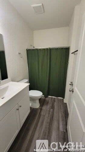 A bathroom with a toilet, sink, and shower curtain.
