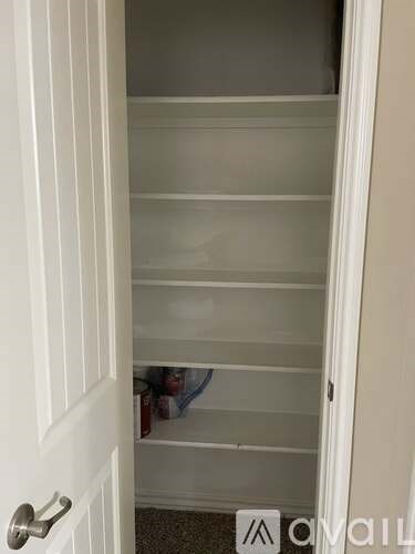 A white door with a silver handle is open to a white pantry with shelves.