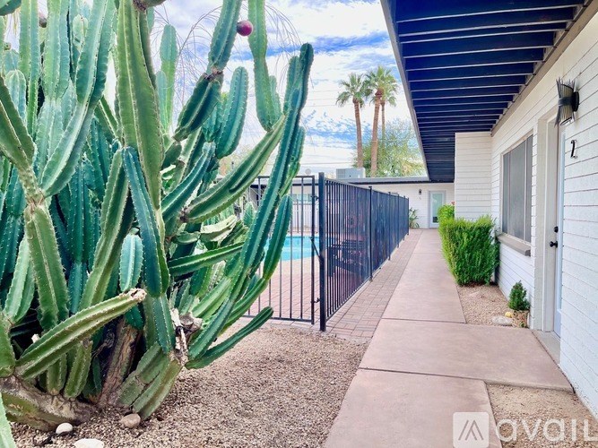 A cactus is in the foreground of a photo showing a house and a pool.