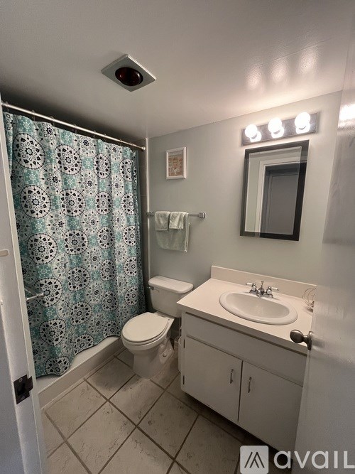 A bathroom with a toilet, sink, and shower curtain.