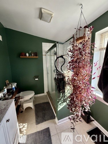 A bathroom with green walls and a hanging plant.