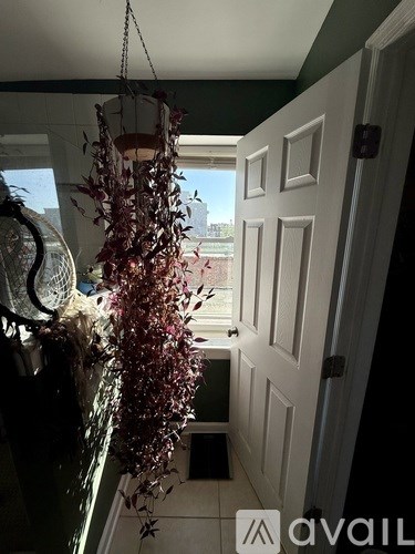 A hanging plant with purple flowers is in a white hallway.
