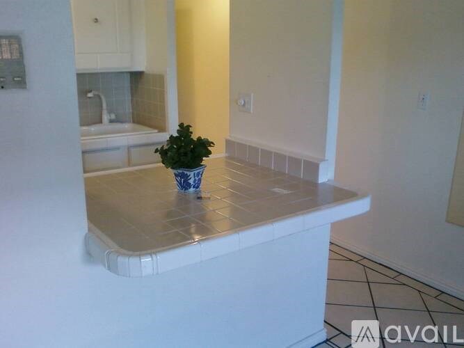 A plant in a blue and white pot sits on a white countertop.
