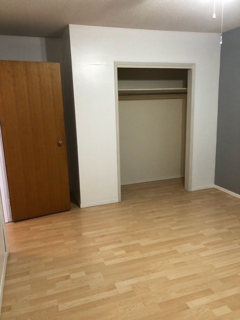 A room with a wooden floor and a brown door.