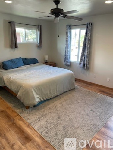 A bedroom with a bed, a ceiling fan, and a rug.