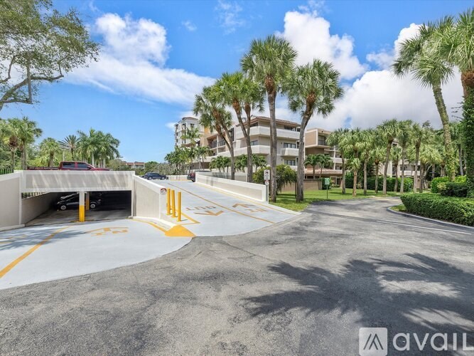 A sunny day at the palm tree lined street with a car parked on the side.