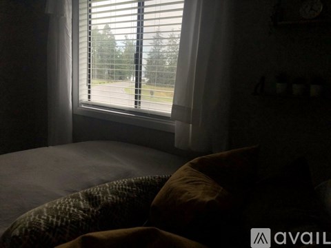 A window with blinds is open, letting in light that casts a shadow on the bed.