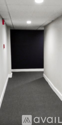 A long, narrow hallway with a carpeted floor and white walls.