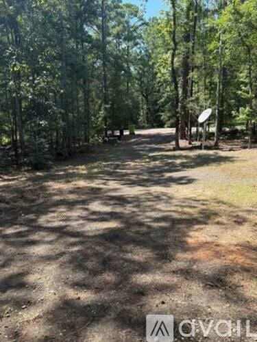 A satellite dish is in the middle of a wooded area.