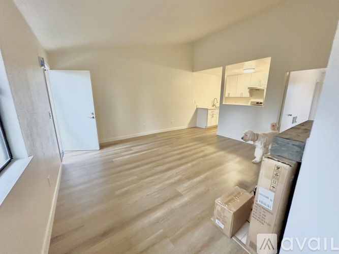 A room with wooden flooring and boxes scattered around.