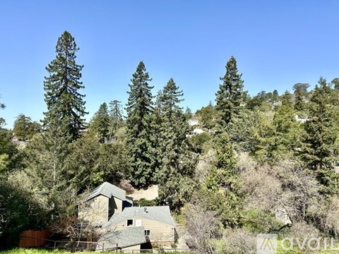 A house surrounded by trees in a forest.