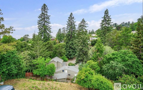 A house is surrounded by trees in a wooded area.