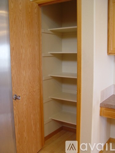 A wooden pantry with shelves and a door.