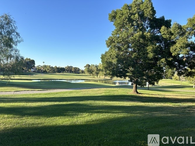 A large tree stands in the middle of a grassy field.
