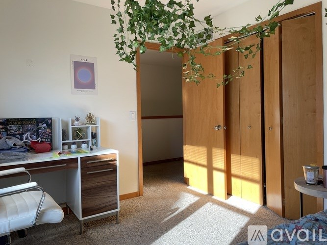 A room with a desk, chair, and a plant hanging from the ceiling.