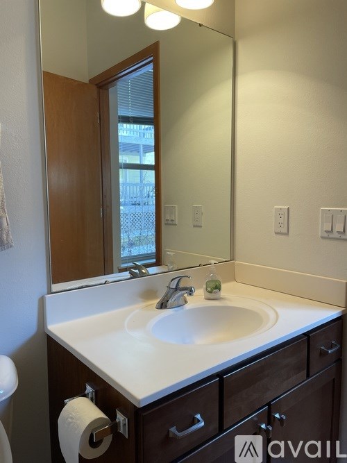 A bathroom with a sink, mirror, and toilet paper roll.