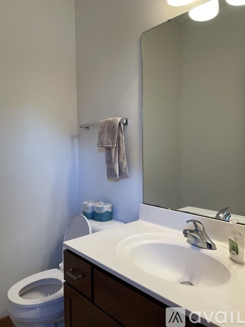 A bathroom with a toilet, sink, mirror, and towel.