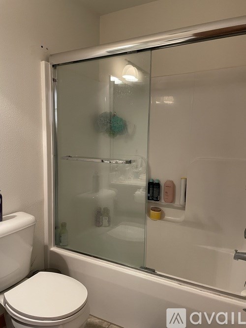 A bathroom with a toilet and a glass shower door.
