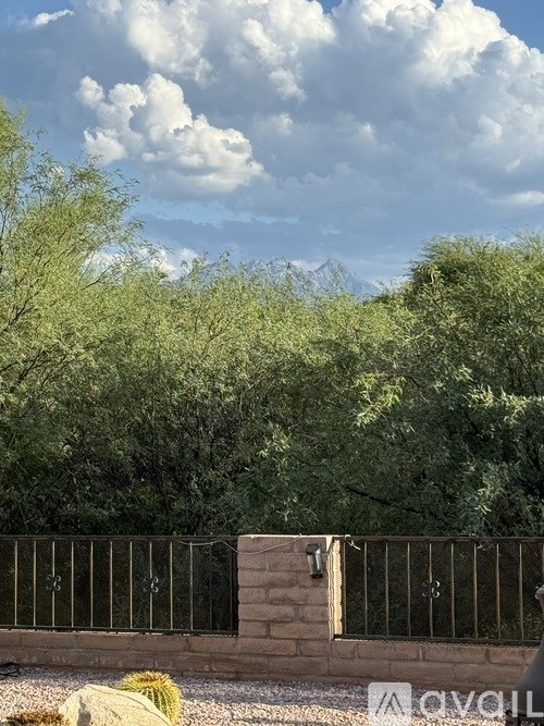 A cactus is in the foreground of a photo showing a cloudy sky and green trees.