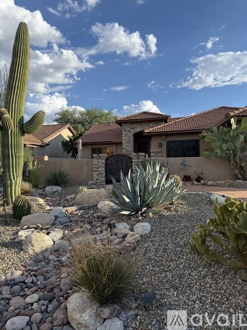 A cactus garden in front of a house.