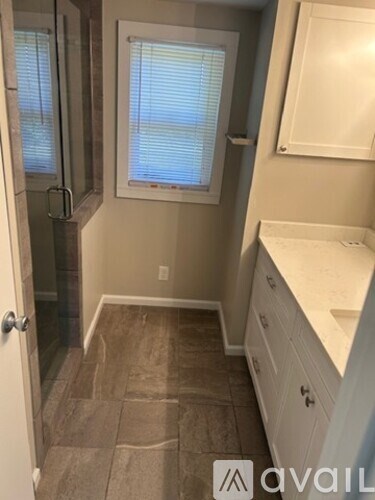 A bathroom with a walk-in shower and a sink.