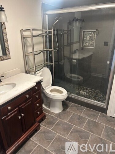 A bathroom with a toilet, sink, and walk-in shower.