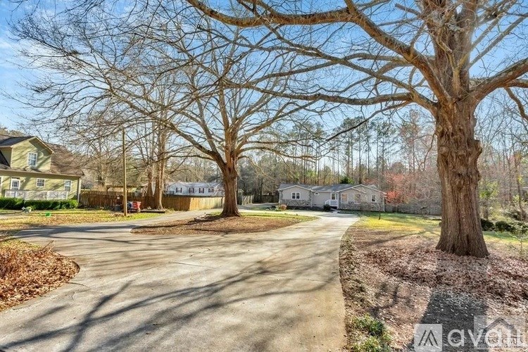 A large tree stands in the middle of a driveway with houses in the background.