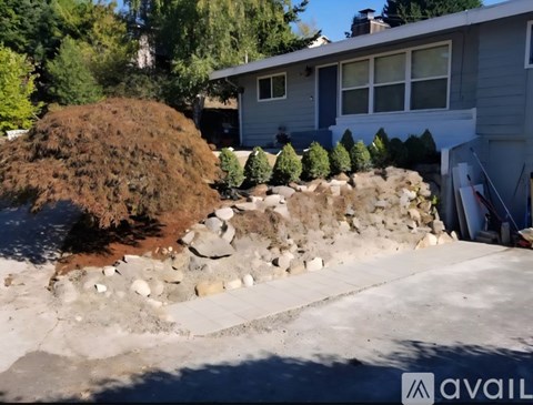 A large bush is being removed from a residential area.
