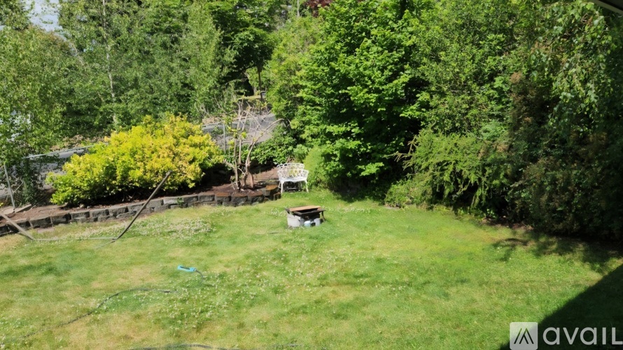 A backyard with a lawn and trees.