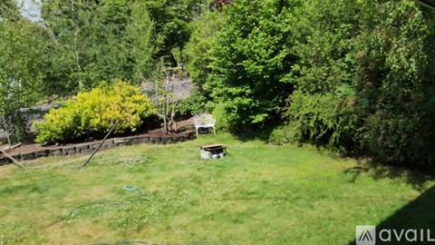 A backyard with a lawn and trees.