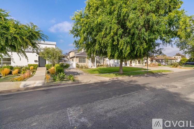 A street view with a tree in the middle and houses in the background.