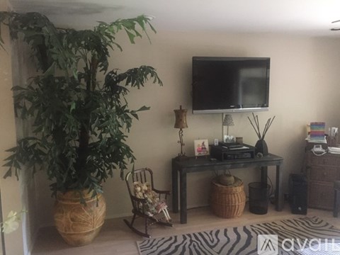 A living room with a TV, a potted plant, and a chair.