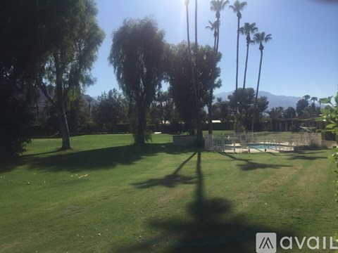 A sunny day at a park with palm trees and a pool.
