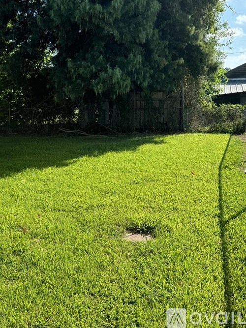 A green lawn with a hole in the middle.