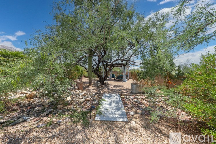 A tree in a yard with a stone pathway leading to a house.