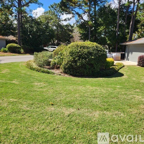 A well-maintained lawn with a hedge and trees in the background.