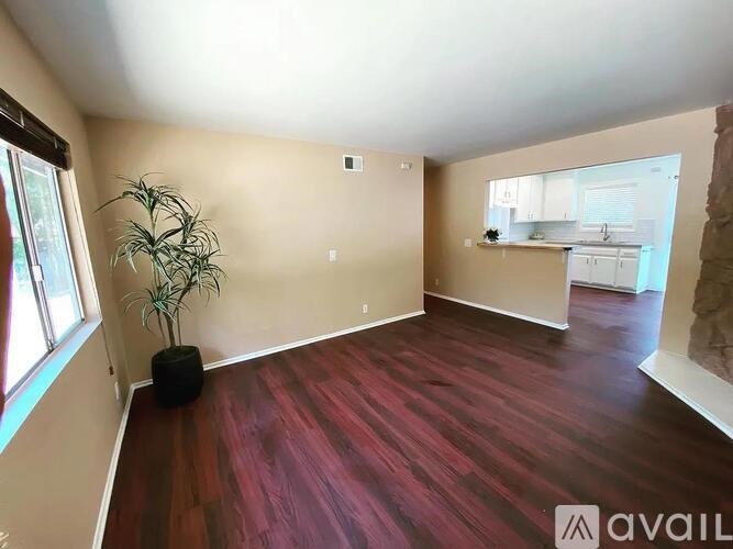 A room with wooden flooring and a plant in a black pot.