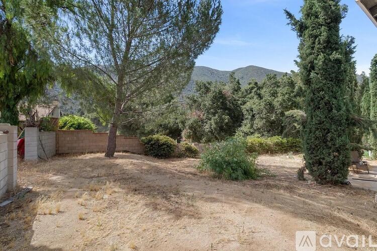 A backyard with a dirt ground, a tree, and a wall.
