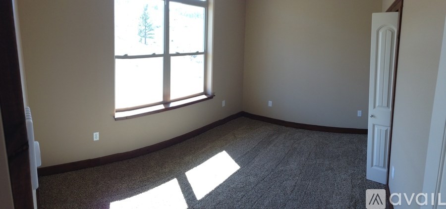 A room with a carpeted floor and a large window.
