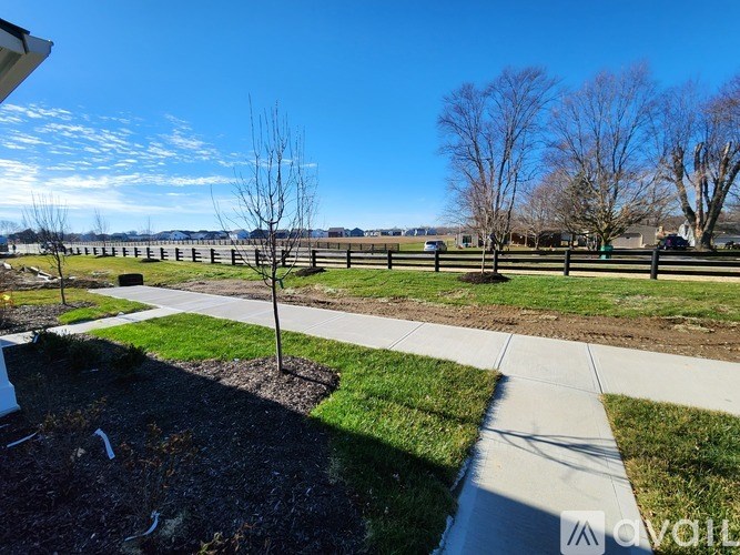 A tree stands in a grassy area next to a sidewalk.
