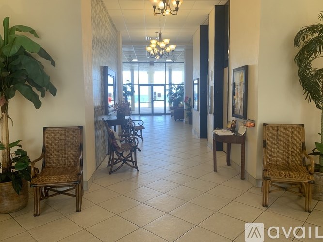 A hallway with chairs and a table with a plant in it.