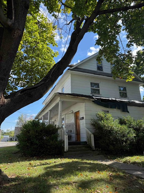 A white house with a brown door is surrounded by greenery.