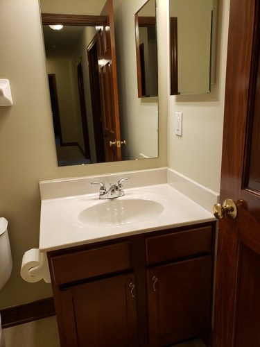 A bathroom with a sink, mirror, and toilet paper holder.