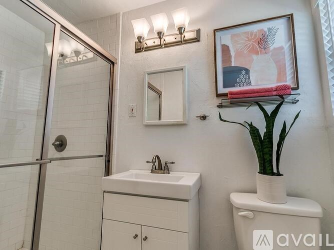 A bathroom with a white sink and a potted plant.