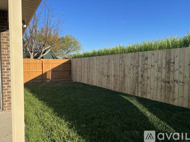 A backyard with a wooden fence and green grass.