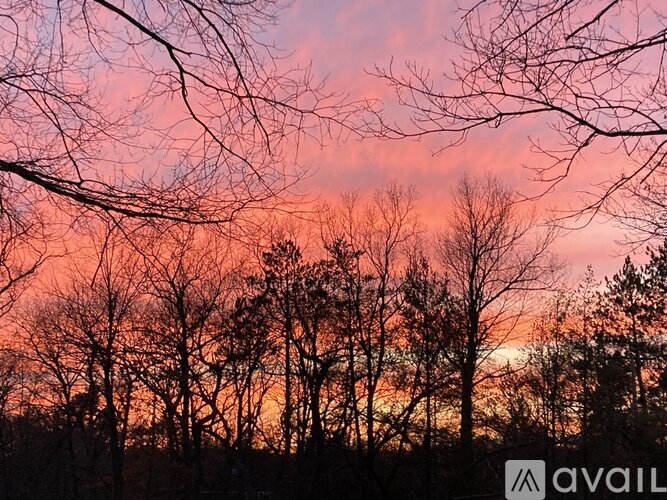 A beautiful sunset with trees silhouetted against the sky.